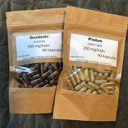 Hulda Clark oczyszczanie, piołun i goździki