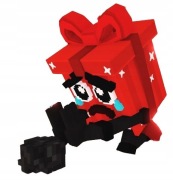 Noo my Present ROBLOX