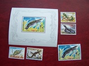 Belgia 1965 MNH Fauna  Gady