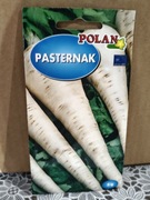 Pasternak  Polan
