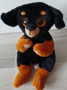 Ty Beanie Bellies 2024 Randi piesek Rottweiler maskotka 21cm