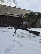 Snajperka ASG snow wolf sw-10