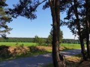 Działki w lesie z prawem zabudowy i uzbrojeniem 32km od Białegostoku