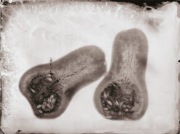 Ambrotypia - Hell's Kitchen 027