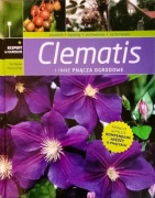 Clematis i inne pnącza ogrodowe Szczepan Marczyński
