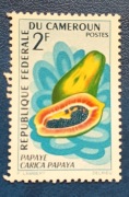Papaja PAPAYE CARICA PAPAYA