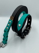 Obroża i smycz wodoodporna 