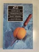 Czarująca i niebezpieczny - David Schickler- OKAZJA!