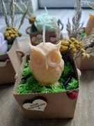 Torebeczka świeczka sojowa sowa róża Dzień Nauczyciela 