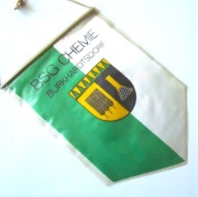 Proporczyk BSG Chemie Burkhardtsdorf Klub Niemcy