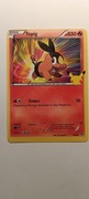 Karta Pokemon Tepig