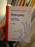 Prawo pracy. Wyd. 9