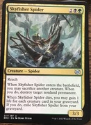 Skyfisher Spider