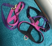 Szelki i smycz mocne i solidne 