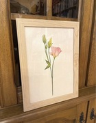 Delikatny pastelowy obraz