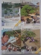 BONSAI  FOKUS CZASOPISMA