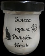 Swieca sojowa Naturalna