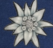 2019 Mongolia 500 Togrog Mountain Star Edelweiss1 oz 