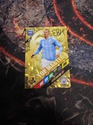 FIFA 365 2024 Erling HAALAND TOP MASTER RARE RAR 2 Panini + rafael leao