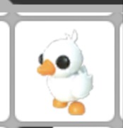 Adopt me pet happy duckling