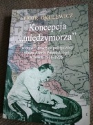 Koncepcja "międzymorza" P.Okulewicz