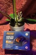 Akumulator litowo-jonowy Niteo Tools 20V Max System 2Ah.
