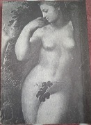 Klasycy praw natury - Roman Tokarczyk