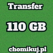 TRANSFER CHOMIKUJ 100 GB BEZTERMINOWO