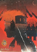 Puzzle Harry poter - obraz 1000 klocków