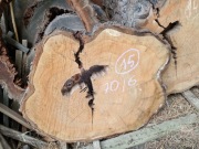 Plaster Drewna Czereśnia 70/6 cm Blat Stolik Żywica DIY