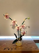 Kwiaty Lego Klocki Biały Bukiet Orchidea