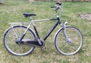 Rower Gazelle Davos 