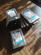 Dysk twardy HDD WD Blue 250 GB