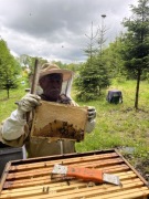 Miód surowy nektarowy wielokwiatowy