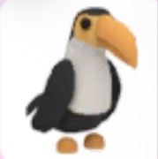 Toucan - Adopt Me Roblox