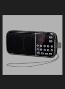 Radio przenośne PRUNUS L-189, radio FM 3W 1200mAh z dwoma głośnikami