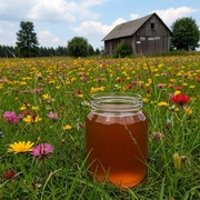 Miód z mini pasieki 