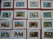 Umm Al Qiwain MNH Fauna Ptaki