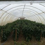 TUNEL STALOWA KONSTRUKCJA