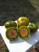 Ananas Noire - Black Pineapple pomidor kolekcjonerski