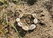 Bransoletka muszelki wakacyjna bransoletka muszla talizman amulet 