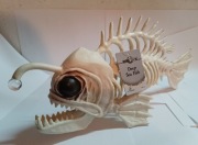 Ryba Szkielet Crazy Bones Deep Sea Skeleton Fish Dekoracja Halloween W81237