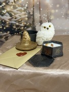 Zestaw Harry Potter (Sowa Hedwig + Tiara Przydziału + List Hogwart)