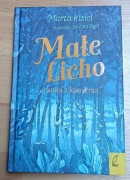 Małe licho i anioł z kamienia Marta Kisiel