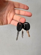 FOOD TRUCK 4m NOWA Przyczepa Gastronomiczna FULL GAZ 2 osie