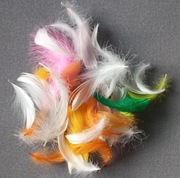 Piórka kolorowe dekoracyjne 35szt