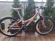 Rower dziecięcy Trek MT220