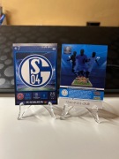 FC SCHALKE 04 - LOGO - HERB - CHAMPIONS LEAGUE - 2014/2015 25