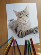 Portret TWOJEGO PSA ze zdjęcia 30x40 cm na prezent chihuahua labrador 