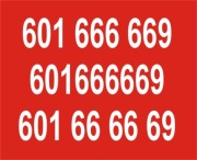 601666669 / 601 66 66 69 / 601 666 669 / NUMER VIP / ZŁOTY NUMER